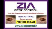 Service, Other, Marketing, Pesticides, Pest control Solution.
